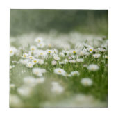 Daisy Meadow Fliese (Vorderseite)