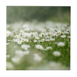 Daisy Meadow Fliese