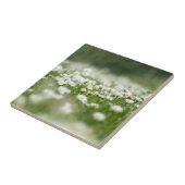 Daisy Meadow Fliese (Seite)