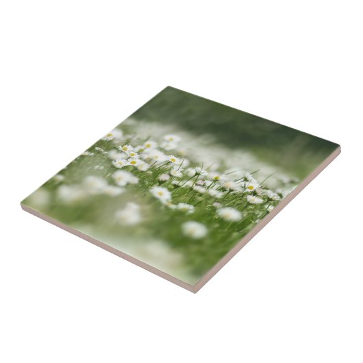 Daisy Meadow Fliese (Seite)