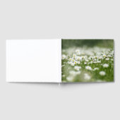 Daisy Meadow Gästebuch (Voll)