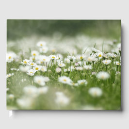 Daisy Meadow Gästebuch