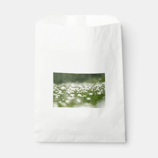 Daisy Meadow Geschenktütchen (Vorderseite)