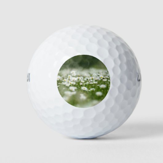 Daisy Meadow Golfball (Vorderseite)