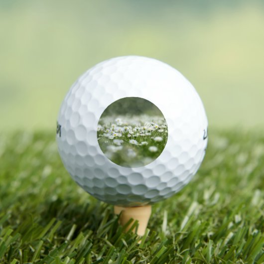 Daisy Meadow Golfball (Insitu T-Shirt)