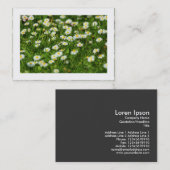 Daisy Meadow (grenzt) Visitenkarte (Vorne/Hinten)