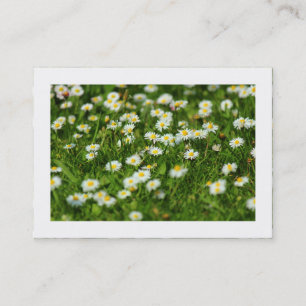 Daisy Meadow (grenzt) Visitenkarte