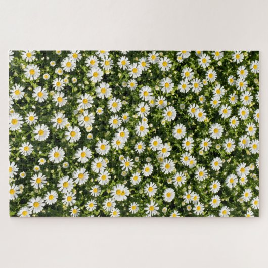 Daisy Meadow Jigsaw Puzzle (Horizontal)