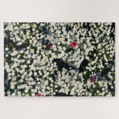 Daisy Meadow Jigsaw Puzzle (Horizontal)