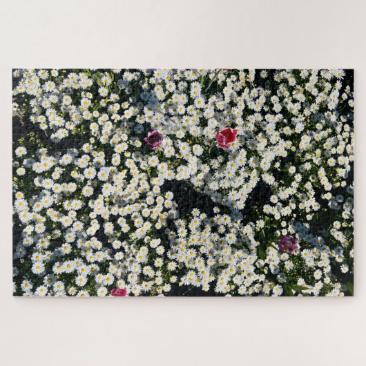 Daisy Meadow Jigsaw Puzzle (Horizontal)