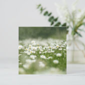 Daisy Meadow Karte (Stehend Vorderseite)