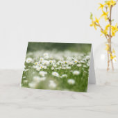 Daisy Meadow Karte (Gelbe Blume)