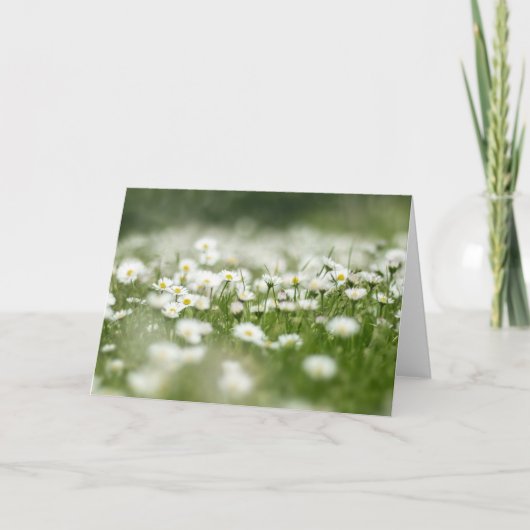 Daisy Meadow Karte (Vorderseite)