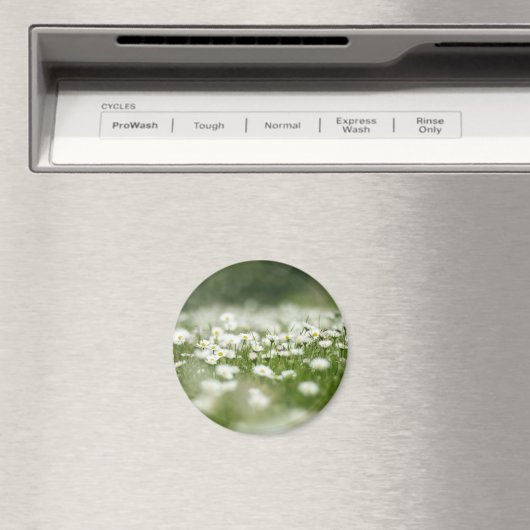 Daisy Meadow Magnet (In Situ (Geschirrspüler))