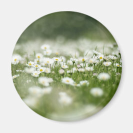 Daisy Meadow Magnet
