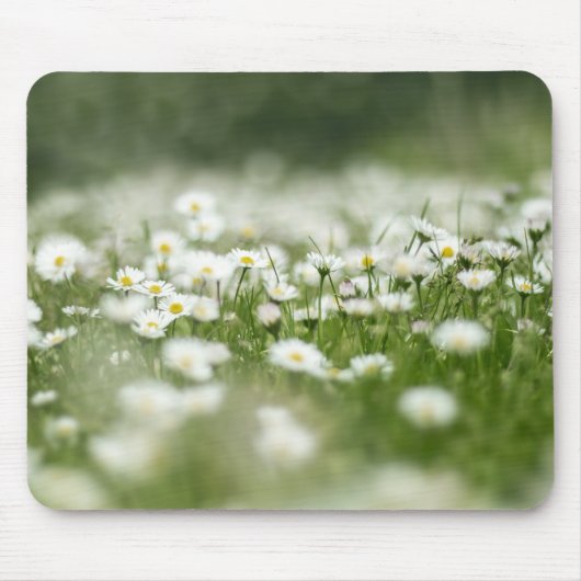 Daisy Meadow Mousepad (Vorne)