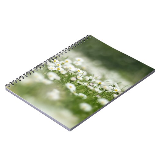 Daisy Meadow Notizblock (Linke Seite)