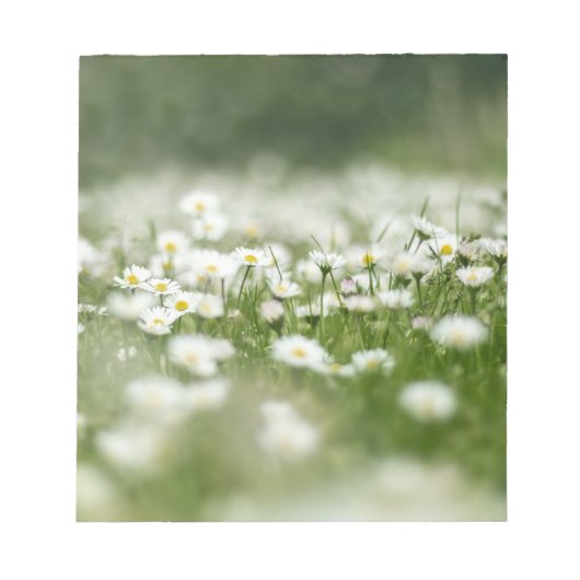 Daisy Meadow Notizblock (Vorderseite)