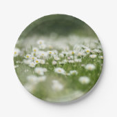 Daisy Meadow Pappteller (Vorderseite)