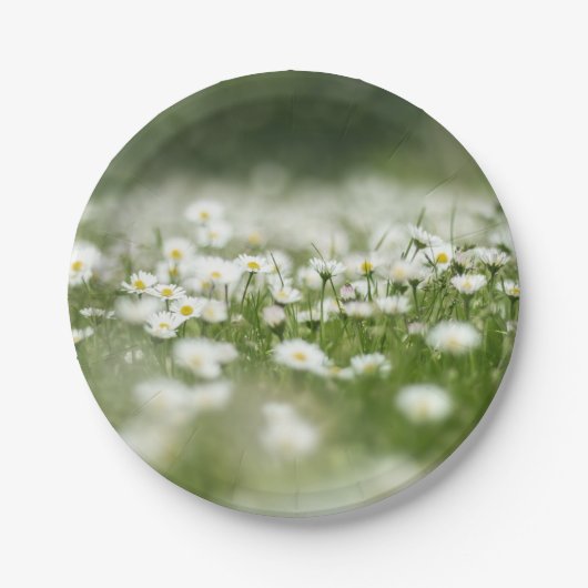 Daisy Meadow Pappteller (Vorderseite)