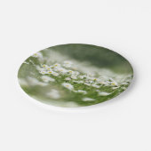 Daisy Meadow Pappteller (Schrägansicht)