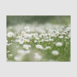 Daisy Meadow Seidenpapier