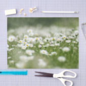 Daisy Meadow Seidenpapier (Handwerk)