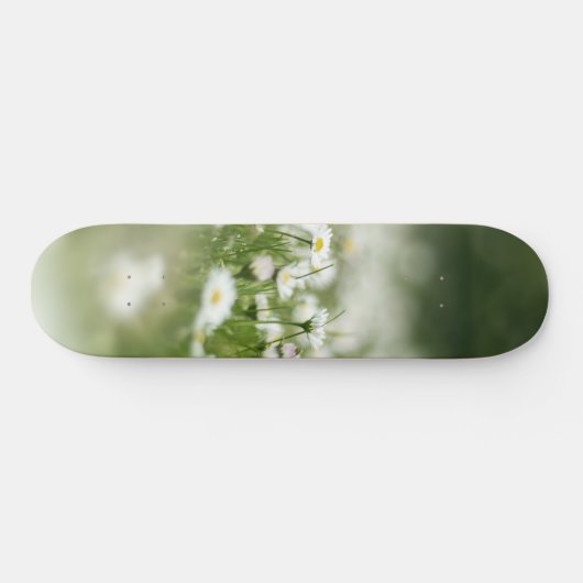 Daisy Meadow Skateboard (Horizontal)