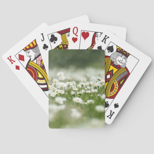 Daisy Meadow Spielkarten (Rückseite)