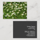 Daisy Meadow Visitenkarte (Vorne/Hinten)