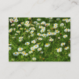Daisy Meadow Visitenkarte