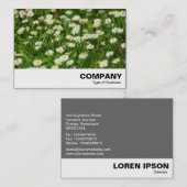 Daisy Meadow Visitenkarte (Vorne/Hinten)