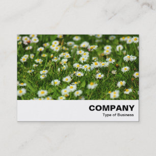 Daisy Meadow Visitenkarte