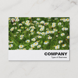 Daisy Meadow Visitenkarte
