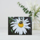 Daisy mit Baby Bumblebee Postkarte (Stehend Vorderseite)