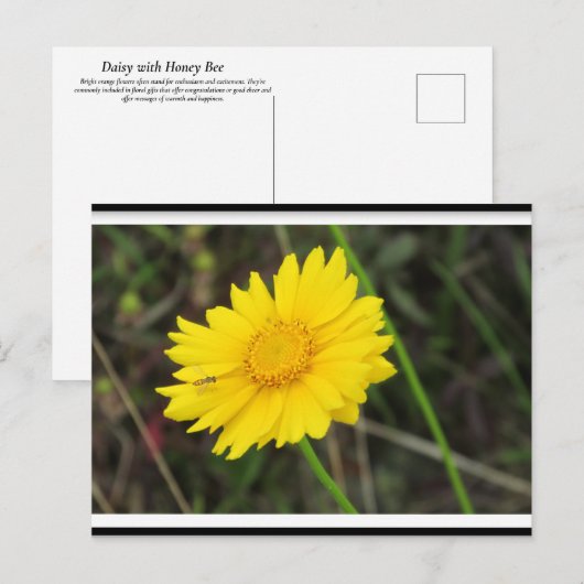 Daisy mit der Bee Postcard Postkarte (Vorne/Hinten)