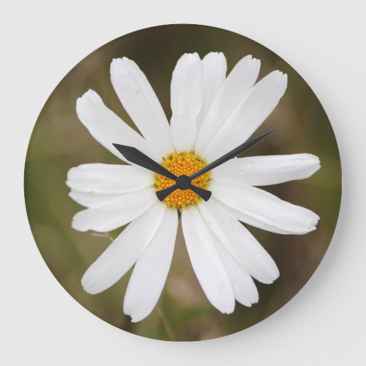 Daisy mit einer Regenfallenblende-Uhr Große Wanduhr (Vorderseite)