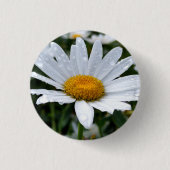 Daisy Morning Dew Button (Vorderseite)