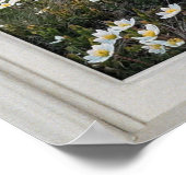 Daisy Mountain White Frame Illusion Poster (Ecke)