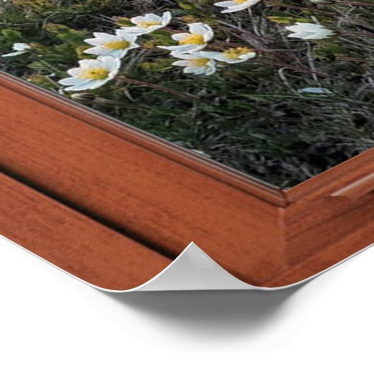 Daisy Mountain Window Illusion Poster (Ecke)