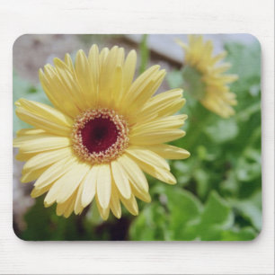 Daisy Mousepad
