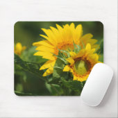 Daisy Mousepad - HAMbyWhiteGlove (Mit Mouse)