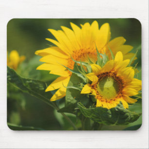 Daisy Mousepad - HAMbyWhiteGlove