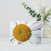 Daisy Nah-Up Postkarte (Stehend Vorderseite)
