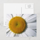 Daisy Nah-Up Postkarte (Vorne/Hinten)