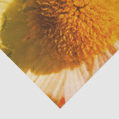 Daisy Nah up Seidenpapier (Ausschnitt)