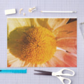 Daisy Nah up Seidenpapier (Handwerk)