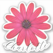 Daisy Name Aufkleber (Vorderseite)