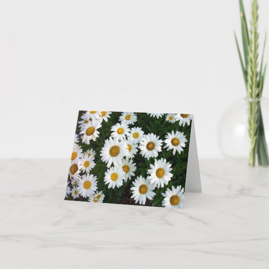 Daisy Note Card Karte (Vorderseite)