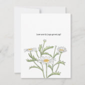 Daisy Note Card Mitteilungskarte (Vorderseite)